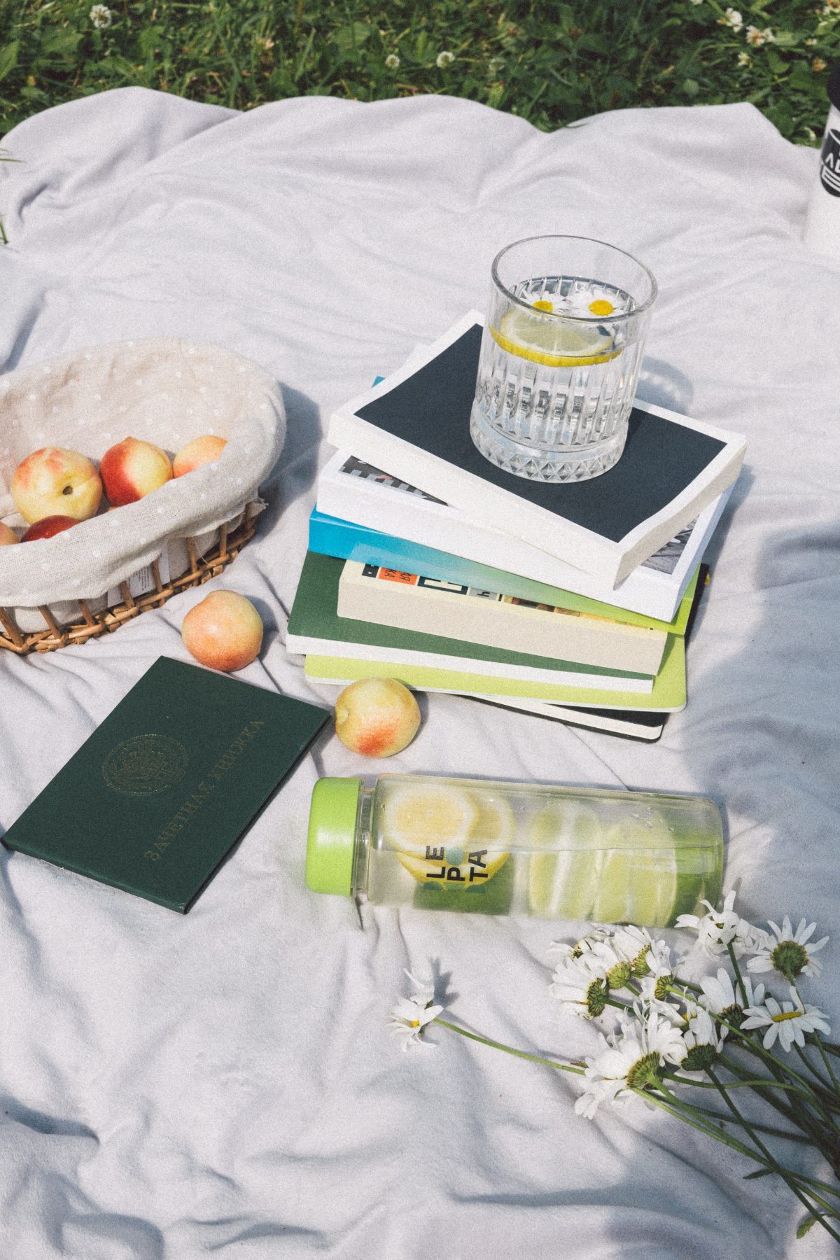 Stack of notebooks and a glass of water on a picnic blanket with peaches and daisies