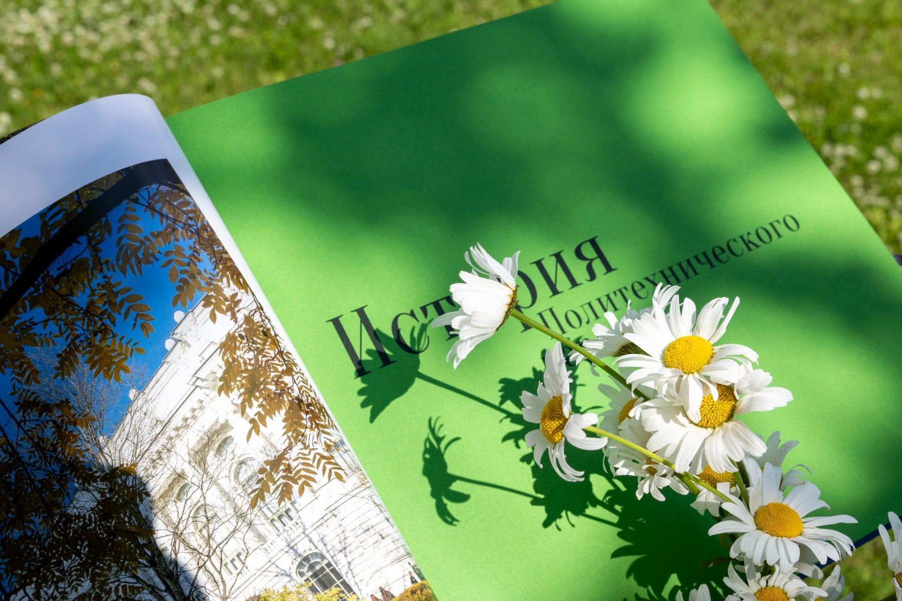 An open magazine spread on grass with daisies laid across the green page